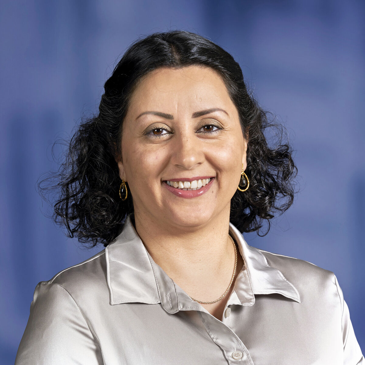 Parvaneh Abdoulmaleki